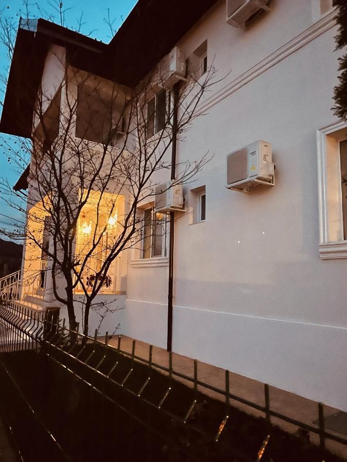 Cochet Boutique Hotel Targu Jiu Bagian luar foto